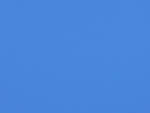 78749619.jpg