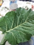 78f72ef2.jpg