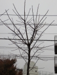 81fed6f9.jpg