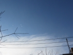 9db00f58.jpg