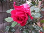 bd7d9e13.jpg