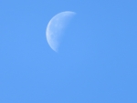 c334c721.jpg