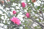 d609a3a0.jpg