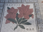 dff982a9.jpg
