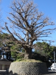 f0580c9e.jpg