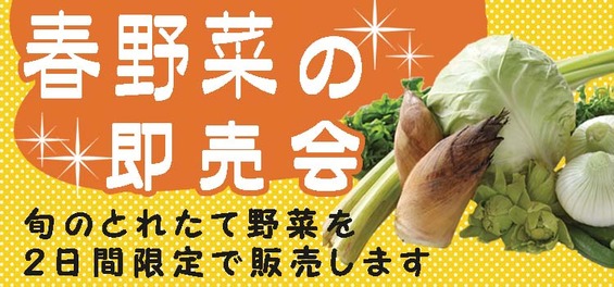 春野菜販売会