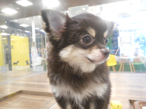 DSCN6771