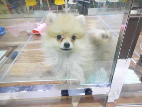 DSCN0158
