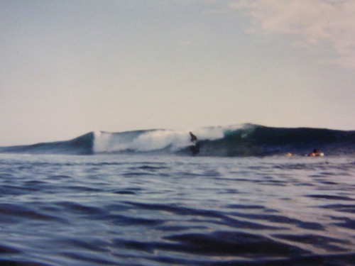 RIMG0240