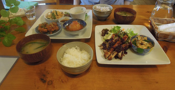 DSCN0229
