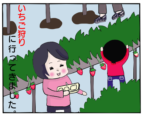 苺狩り1