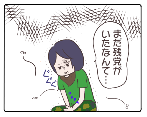 蚊1