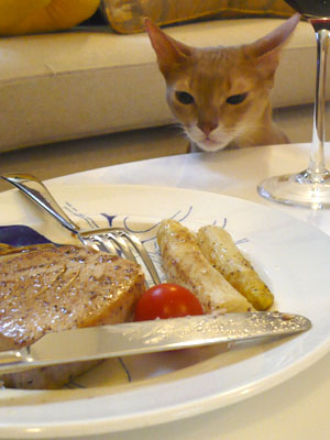 4e0bf096eee8483e8100621a66f75a2a