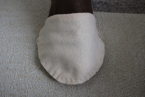 kutu (15)