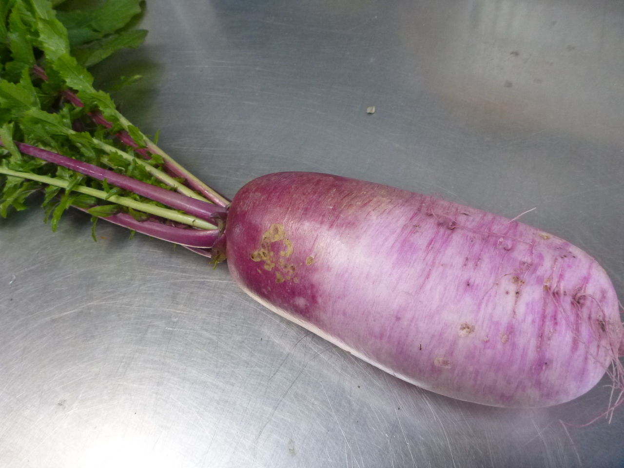 紫がいっぱい 兵庫県三田市の採れたてお野菜・お米のおおにし農園
