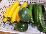 20130702ズッキーニ1