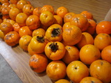 20111113渋柿