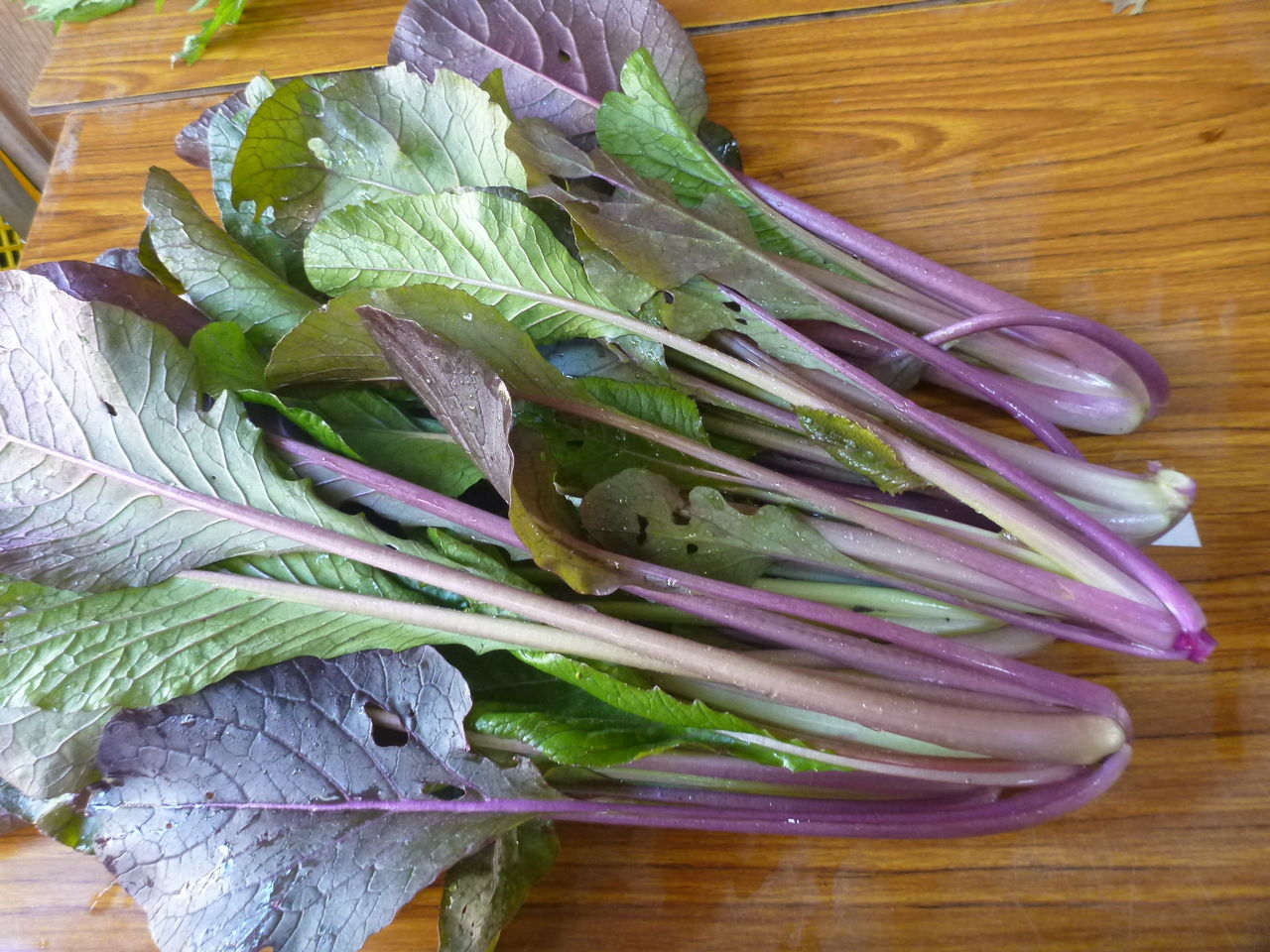 紫がいっぱい 兵庫県三田市の採れたてお野菜・お米のおおにし農園