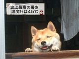 1072-11