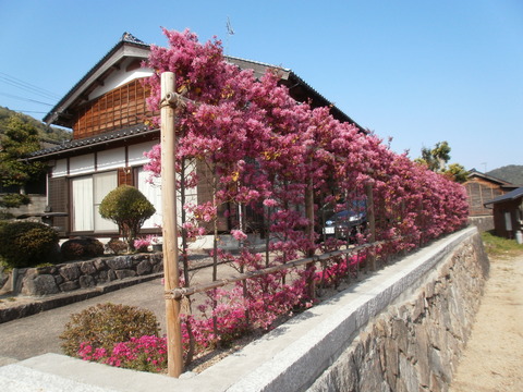 P4270048
