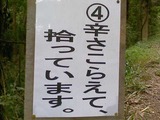 ���� 017