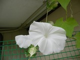 P1090070