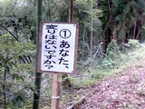 ���� 010