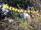 9c088012.jpg