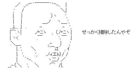 せっかく掃除したんやぞ