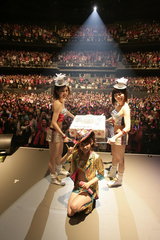 syokotan002