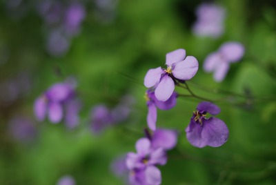 20130503_140135resize