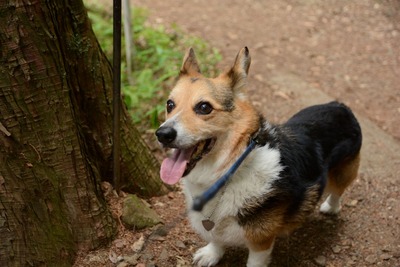 20130504_130612resize