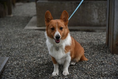 20160312_163005resize
