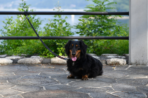 20170709-080524resize_