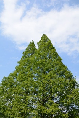 20130504_145121resize
