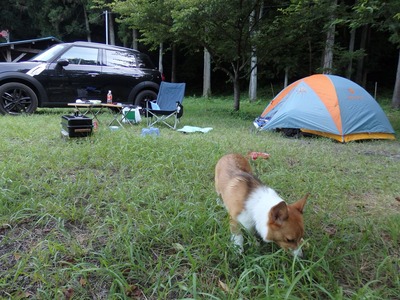 20150725_163932resize