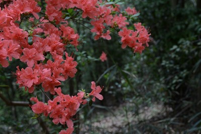 20130504_134415resize