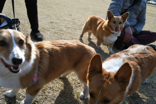 20170312-151010_resize