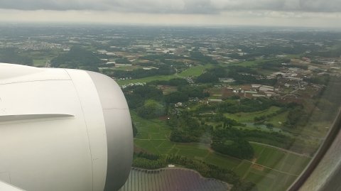 1250 (2)
