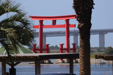 DX8I8135