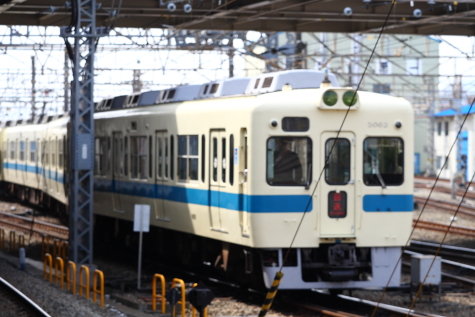 1213 (13)