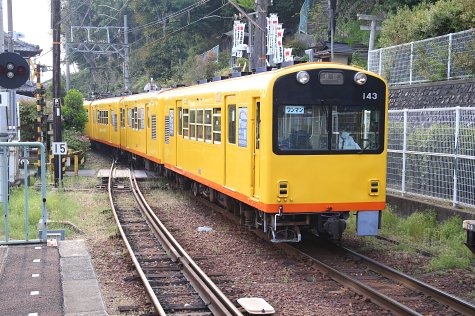 1542 (16)