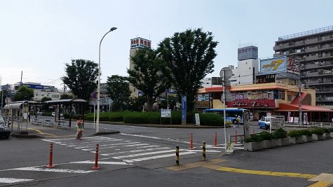 1336 (1)