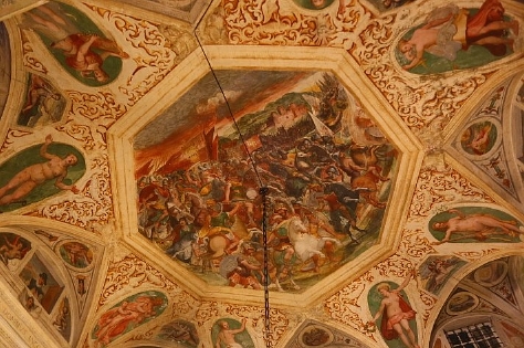2009 (11)