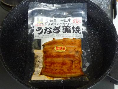 P1000433