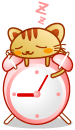 808256dd.gif