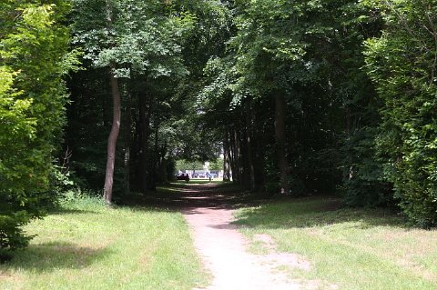 1341 (2)