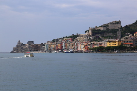 1133 (6)