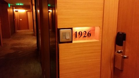 2338 (3)