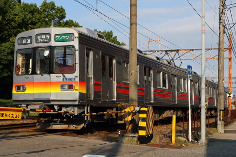 1427 (11)